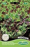 Germisem Mesclun Semillas de Ensalada Mix 4 g Foto, mejor precio 2,21 € nuevo 2025