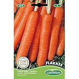 Germisem Flakkee Semillas de Zanahoria 10 g Foto, mejor precio 2,21 € nuevo 2025