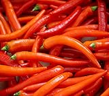 Hot Chili Pfeffer Cayenne - Pepper - 20 Samen Foto, bester Preis 1,60 € (1,60 € / count) neu 2024