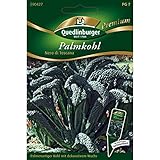 Palmkohl, Nero di Toscana, ca. 150 Samen Foto, bester Preis 2,44 € (0,02 € / stück) neu 2025