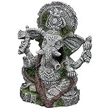 Hobby 41730 - Ganesha Foto, mejor precio 10,52 € nuevo 2024