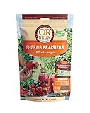 Or brun, Engrais fraisiers, 1,5kg Photo, meilleur prix 9,95 € nouveau 2024