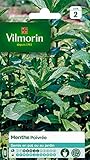 Vilmorin - Menthe poivrée - Plante médicinale et aromatique - idéal pour parfumer cocktails et salades - développement important Photo, meilleur prix 5,85 € nouveau 2024