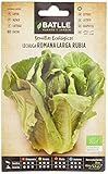 Lechuga Rom. larga Rubia - ECO Foto, mejor precio 1,76 € nuevo 2024