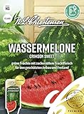 Wassermelone Crimson Sweet Samen, Saatgut Foto, bester Preis 3,23 € neu 2025