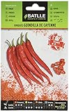 Pimiento Guindilla de Cayenne, rojo Foto, mejor precio 1,60 € nuevo 2024