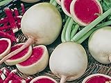 Radieschen - Radies - Winterradieschen - Wassermelone (100 Samen) Foto, bester Preis 2,15 € (0,02 € / stück) neu 2024