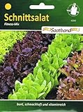 Schnittsalat Fitness Mix Salat vitaminreich Foto, bester Preis 2,50 € neu 2024