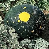 Burpee Moon & Stars Heirloom Watermelon Seeds 30 seeds Photo, best price $7.87 ($0.26 / Count) new 2024