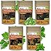 Photo Parsley, Basil, Cilantro, Oregano, Chives - 5 Culinary Herb Seeds Pack - Heirloom and Non GMO, Grown in USA - Indoor or Outdoor Garden