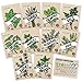 Photo Culinary Herb Seeds 10 Pack – Over 4000 Seeds! 100% Non GMO Heirloom - Basil, Cilantro, Parsley, Chives, Thyme, Oregano, Dill, Rosemary, Sage Rosemary for Planting for Outdoor or Indoor Herb Garden