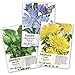 Photo Seed Needs, Dandelion Seed Collection (3 Individual Packets) Non-GMO