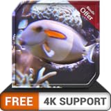 free deep fish tank HD - dekorieren Sie Ihr Zimmer mit einem wunderschönen Live-Aquarium auf Ihrem HDR 4K-Fernseher, 8K-Fernseher und Feuergeräten als Hintergrundbild, Dekoration für die Weihnachtsfer Foto, bester Preis 0,00 € neu 2024