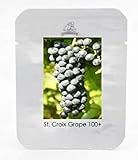SEMI PLAT FIRM-1 Professional Service Pack, 100 semi/pack, St. Croix nero di semi d'uva Hardy dolce frutta piantine di piante # NF459 foto, miglior prezzo EUR 12,99 nuovo 2024
