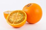 Asklepios-seeds® - 30 Semi di Solanum quitoense foto, miglior prezzo EUR 3,49 nuovo 2024