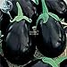 foto Visa Store 2018 vendita calda Davitu melanzane nero grandi semi di ortaggi, 100 semi, organici gustosi per la casa giardino E4327I