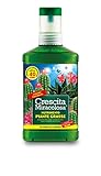 Crescita Miracolosa C025001 Nutrimento Cactus, 200 ml, Verde, 7.5x3.5x18 cm foto, miglior prezzo EUR 5,30 nuovo 2024