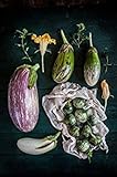 100pcs 12kinds di verdure Semi di melanzane Semi Bonsai piante Semi per la casa e orto biologico Plantas Sementes foto, miglior prezzo EUR 10,99 nuovo 2024