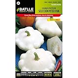 Portal Cool Batlle Vegetable Seeds - Zucca Bianco Patisson Peter Pan (6G) foto, miglior prezzo EUR 9,99 nuovo 2024