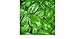 foto BASILICO GENOVESE 270 SEMI foglia larga PESTO LIGURE Basil pianta erba aromatica