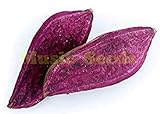 1bag = 20pcs viola dolci semi di patata bonsai RARE esotico delizioso MINI DOLCE semi di frutta verdura casa e giardino foto, miglior prezzo EUR 13,42 nuovo 2024