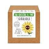 Garden Pocket - Fai crescere il tuo GIRASOLE - Kit di germinazione foto, miglior prezzo EUR 14,90 nuovo 2024