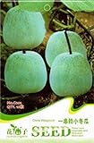 Farmerly 5pack Ogni confezione 10 + inverno semi di melone Benincasa hispida cera zucca bianca della zucca Seeds C001 foto, miglior prezzo  nuovo 2024