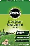 EverGreen estremo prato verde scatola di fertilizzante 80 m² foto, miglior prezzo EUR 20,10 nuovo 2024
