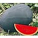 foto SEMI PLAT firm-dolce gigante nero anguria Semi, cocomero senza semi Semi, Giardino Piantare, Cortile Bonsai Frutta - 20 Particelle/Bag