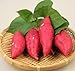 foto Pinkdose 100pcs / bag dolci semi di patate Verdura semi freschi di frutta verdura e alimentari Forniture da giardino piante bonsai per il giardino di casa: 1