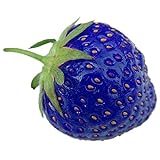 Rosepoem 100PCS Natural Organic Blue Strawberry Antiossidante Semi Pianta di piante rare e giardino bonsai foto, miglior prezzo EUR 10,99 nuovo 2024