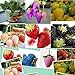 foto 1500 semi 15 tipi di semi di fragola nero, bianco, giallo, blu, rosso, giganti, arancio, pruple, verde giardino piante da frutto liberano la nave