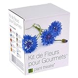 Il Kit Fiori Gourmet di Plant Theatre – 6 varietà di fiori commestibili da coltivare – regalo ottimale foto, miglior prezzo EUR 16,99 nuovo 2024