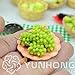 foto Pinkdose Nuovo Bonsai!Bonsai D'uva in Miniatura, Patio Syrah, Vitis Vinifera, Pianta d'appartamento, 50 PCS/Pack, Bonsai di Frutta, 13BG80