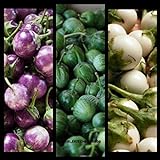 SEMI PLAT FIRM- (400) commestibili semi di verdure asiatica rotonda bianco, viola Thai melanzana (Solanum Melongena) da Kitchenseeds foto, miglior prezzo EUR 12,99 nuovo 2024