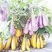 foto Visa Store 2018 vendita calda Davitu melanzana 'fiaba' semi di ortaggi gialli viola, 200 semi, confezione professionale, melanzane grandi organiche saporite