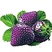 foto Ncient 50/100 Semi Sementi di Fragola Multicolore Strawberry Semi di Frutta Fiori Rari Profumati Fiori Piante per Orto Giardino Balcone Interni ed Esterni
