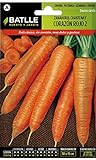Semillas Batlle – Semi di carota foto, miglior prezzo EUR 3,90 nuovo 2024