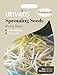 foto Unwins Pictorial pacco – germinazione semi di fagioli – 600 semi