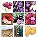 foto Pinkdose Una borsa 200pcs giganti * piante viola patate Bonsai Nutrizione arcobaleno Piante ortive Per la casa Giardino Piantare piante rare Semente: Multi-Colored