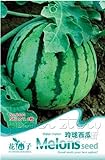 Portal Cool 1 confezione di semi di melone semi di ortaggi biologici semi nutrienti piante da giardino caldo foto, miglior prezzo EUR 9,99 nuovo 2024