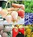 foto 12 tipi fragola semi (rosso, blu, verde, giallo, bianco, nero) Seasons 12 confezioni 240pcs semi di frutta Bonsai fai da te