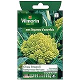 Vilmorin - Cavolo Broccolo Romanesco precoce foto, miglior prezzo  nuovo 2024