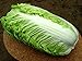 foto PLAT firm-semi di ortaggi Semi Cavolo cinese Giant China Heirloom NON-OGM