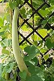 Semi di zucca serpente - Lagenaria siceraria - 24 semi - 24 semi foto, miglior prezzo  nuovo 2024