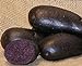foto Sycamore Trading Semi di patata viola per 10 tuberi Varietà di patata precoce viola con buccia liscia blu scuro o viola e polpa di colore blu intenso.
