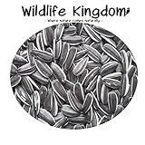 Wildlife Kingdom - Semi di girasole striati di alta qualità, adatti come cibo per i pappagalli parrocchetto, mangime energetico per uccelli selvatici✔ foto, miglior prezzo EUR 19,95 nuovo 2024