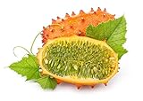 Kiwano, semi di melone cornuto - Cucumis metuliferus - 13 semi - 13 semi foto, miglior prezzo  nuovo 2024