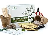 Kit albero bonsai, cresci il tuo albero bonsai a partire dal seme – Il set regalo include 5 varietà di alberi da piantare – Coltivazione al chiuso con istruzioni dettagliate foto, miglior prezzo EUR 19,90 nuovo 2024