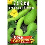 Vivai Le Georgiche Zucca Tromba Di Albenga (Semente) foto, miglior prezzo EUR 3,90 nuovo 2024